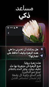 تطبيق يجمع كل ادوات الذكاء الاصطناعي screenshot 3