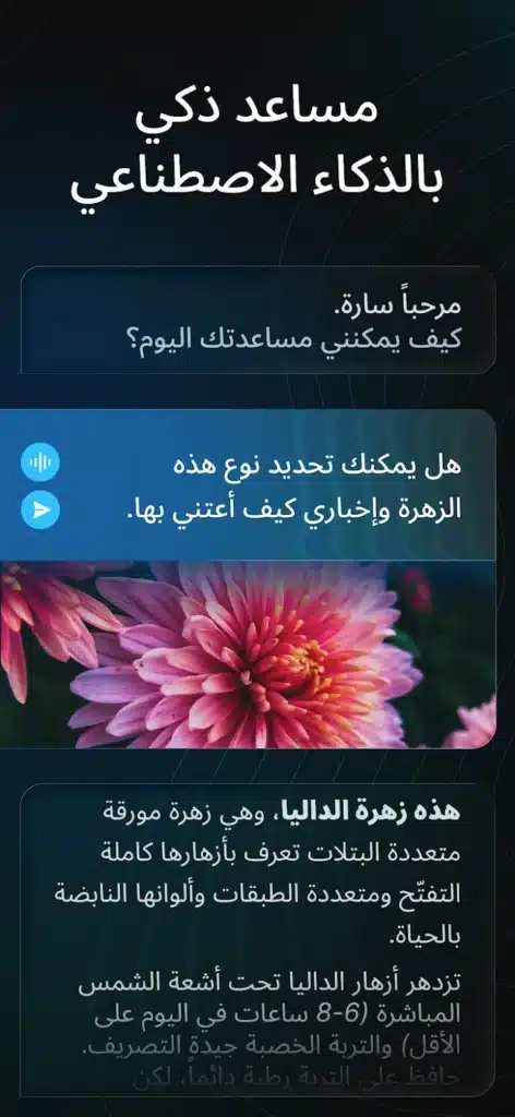 Nova AI: روبوت دردشة للكتابة والبحث والصور بالذكاء الاصطناعي - لقطة شاشة 4